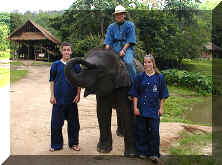 Elephant and Mahout Trainees