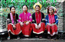 Palong