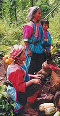 Lisu Hilltribe