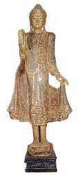 bupr1a.jpg (7040 bytes)