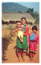 Lisu family