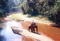 Elephant Riding at Chiang Dao Elephant Camp