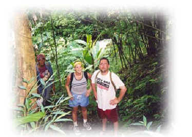 Trekking in the jungle