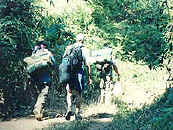Hiking