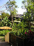 Four Seasons Resort