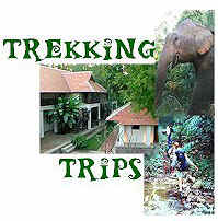 Trekking trips